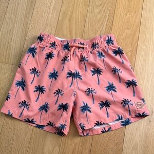 Abercrombie Kids Pink Palm Tree Swim Shorts Boys Sz 9/10